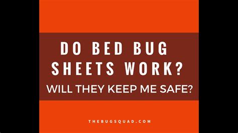 Bed Bug Sheet Does It Work The Bug Squad Youtube