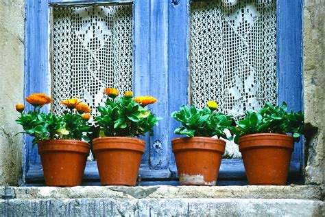 Flower Pots On Window In Provence Photo Art By David Innes