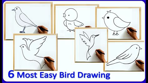 Easy Bird Drawing For Kids How To Draw Bird For Kids 6 Types Of
