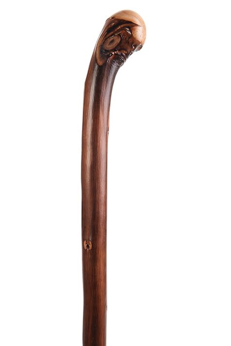 Natural Chestnut Coppice Knob Stick Stick Cane Shop