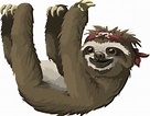 Three Toed Sloth clipart, Download Three Toed Sloth clipart for free 2019
