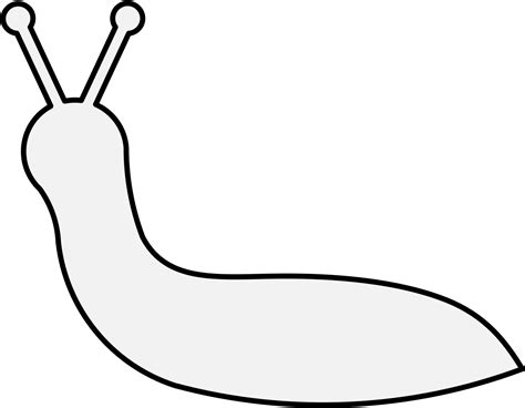 Slug Details Png Transparent Png Original Size Png Image Pngjoy