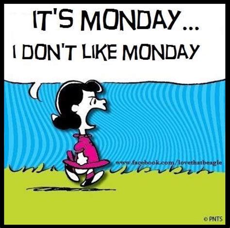 Pin By Marr On Snoops Funny Quotes Snoopy Quotes Funny Pictures