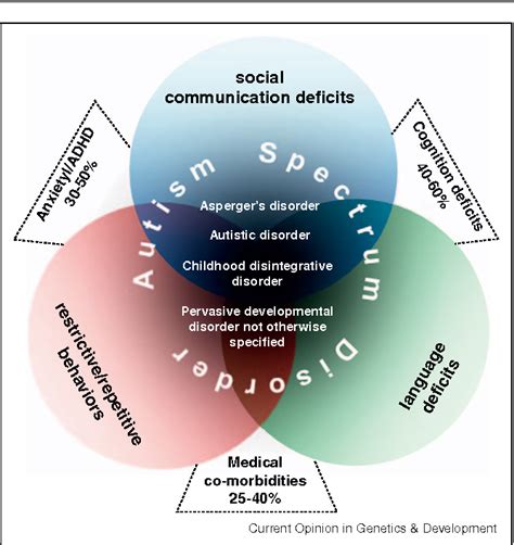 Often, severe forms of asd are diagnosed in. Genetic architecture in autism spectrum disorder ...