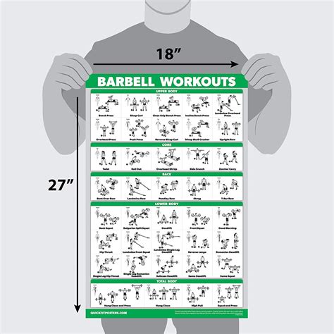 Pack Dumbbell Dumbbell Workout Poster Barbell Exercises Poster Set Sexiz Pix