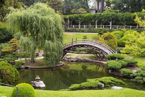 Huntington Library Japanese Garden The Beautiful Japanese Garden Of