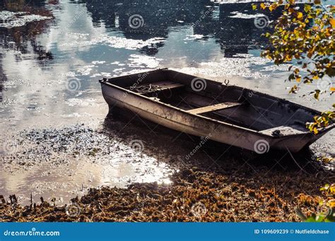 Abandoned Boat In Autumn Leaves Stock Image Image Of Autumn Water