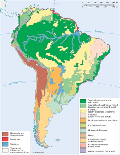 The department will maintain highway vegetation in an environmentally sensitive and uniform manner consistent with ♦usda hardiness zone map with districts outlined. South America: vegetation zones -- Kids Encyclopedia | Children's Homework Help | Kids Online ...