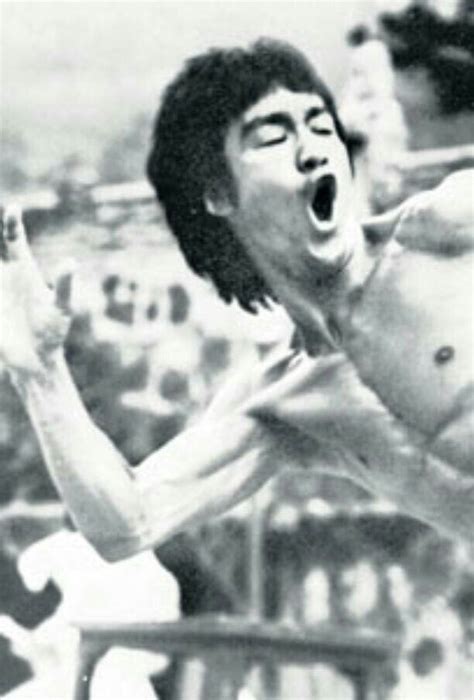 Strong Lee Bruce Lee Martial Arts Lee