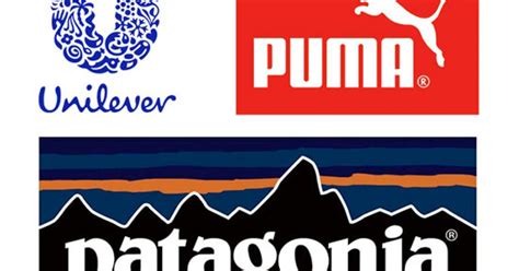 Why Unilever Patagonia Puma Lead The Pack Say Sustainability Leaders