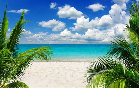 Обои песок море пляж небо солнце тропики пальмы океан берег