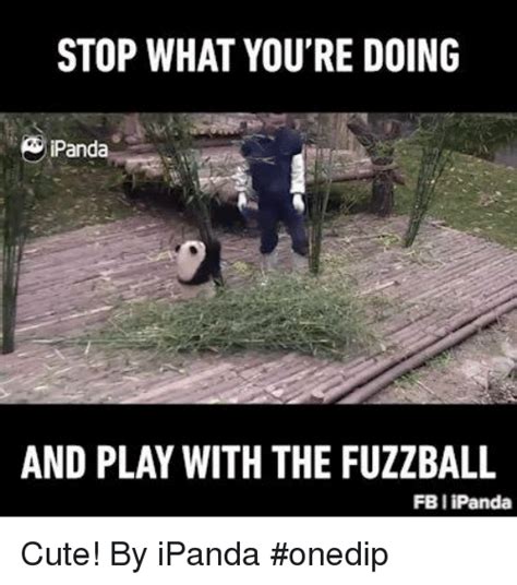 Funny Fbi Memes Of 2017 On Sizzle Rigged