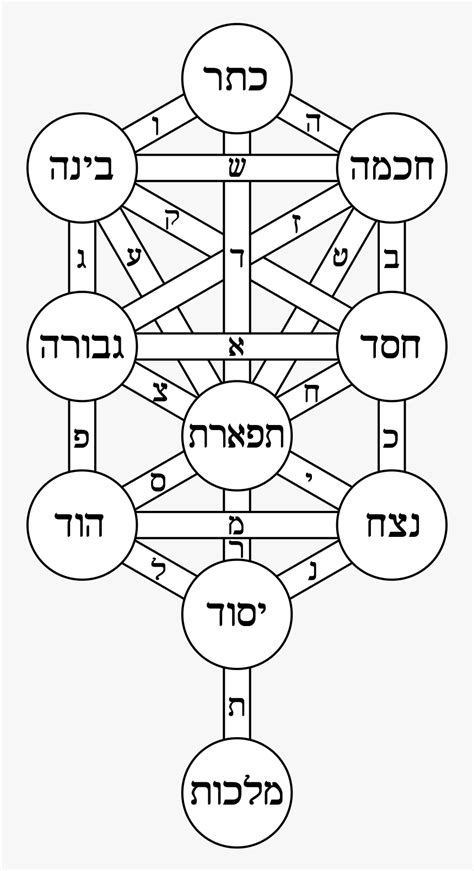 Kabbalah Tree Of Life Sacred Geometry Hd Png Download Transparent