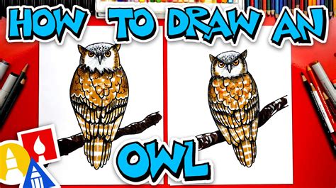 How To Draw An Owl With Colored Pencils And Markers For Beginners Youtube
