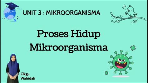 SAINS TAHUN MIKROORGANISMA Proses Hidup Mikroorganisma YouTube