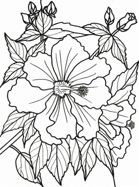 ️easy Coloring Pages For Dementia Patients Free Download