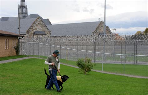 Maryland Prisoners Train Service Dogs For Veterans