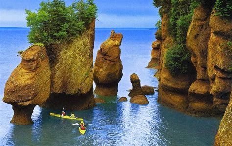 Bay Of Fundy New Brunswick All You Need To Know Before You Go