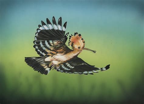 Photo Birds Wings Hoopoe Flight Animal Painting Art 3471x2503
