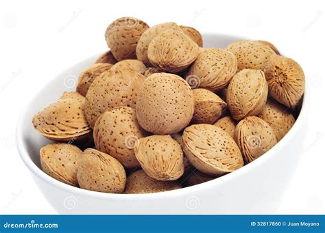Almonds In Shell Stock Photo Image Of Natural Isolated 32817860