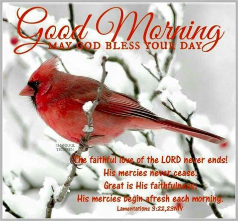Cardinal Good Morning God Bless Your Day Good Morning Inspiration