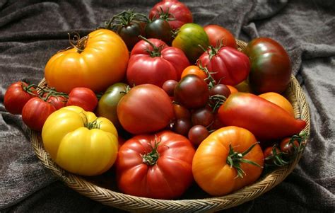 8 Tips For The Best Heirloom Tomatoes Country Green Living