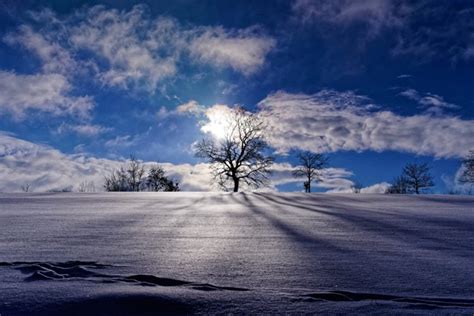 Landscape Nature Blue Sky Winter Snow Trees Wallpapers Hd