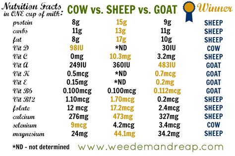 However, when discussing cow's milk vs goat milk for babies, the main difference lies in their proteins. Should I get a Dairy Goat or Dairy Cow? | Rina Marie