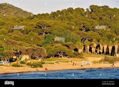 France Var Bormes Les Mimosas Cabasson Beach Stock Photo Alamy