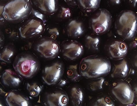 A Grade Jamun Packaging Size 1kg Rs 200 Kg Preeti Fruit Company