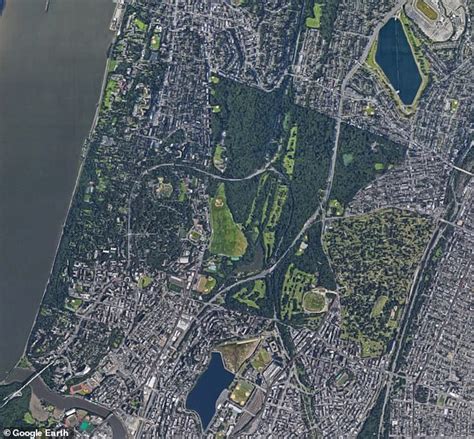 The Urban Forests Of New York Revealed New Study Finds The City Has
