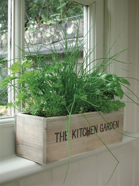 Indoor Wooden Window Herb Garden Kitchen Trough Box