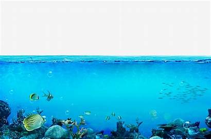 Underwater Ocean Transparent Sea Water Deep Fond