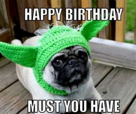 Pug Birthday Meme Funny Happy Birthday Meme Happy Birthday Dog Meme