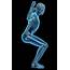 Full Body Xray Stock Photos Pictures & Royalty Free Images  IStock