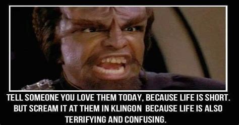 So How Do You Say I Love You In Klingon Reddit