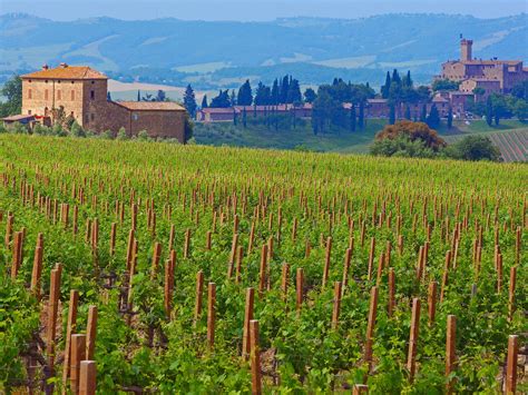 Wine Tasting At Tuscanys Best Wineries Photos Condé Nast Traveler