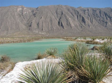 Cuatro Ciénegas Coahuila Pueblo Mágico Guía Definitiva Tips Para Tu Viaje 2023