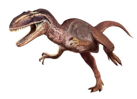 Metriacanthosaurus Dinopedia Fandom Powered By Wikia