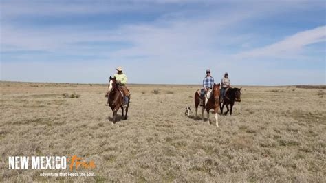 Burnt Well Guest Ranch A New Mexico True Experience
