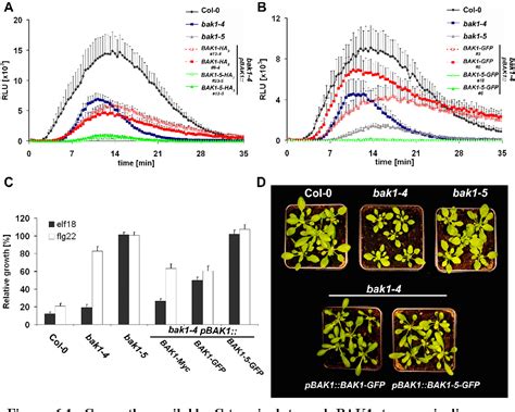 Figure From Genetic Analysis Of Signalling Components Of Pamp