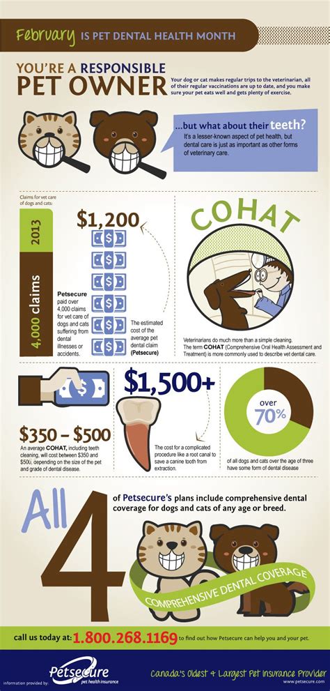 Maybe you would like to learn more about one of these? Pin by Petsecure pet health insurance on Pet infographics | Pet dental health month, Pet dental ...