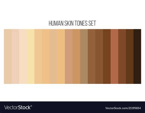 Creative Of Human Skin Tone Royalty Free Vector Image