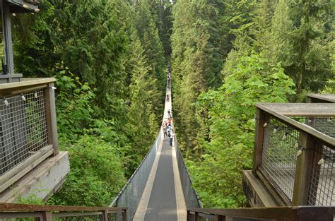 Vancouver Capilano Suspension Bridge Park Fisher Global Experiences