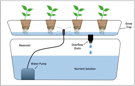 Information on diy natural™ is not reviewed or endorsed by the fda and is not intended to be substituted for the advice of your health care professional. Diagram of an "ebb & flow" hydroponic system | Hydroponique, Potager bio