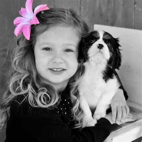 Pin By Lori Pe A On A Touch Of Pink Cavalier King Charles Cavalier