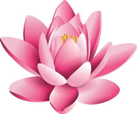 Lotus Png Free Image Png All Png All