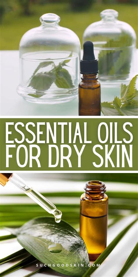 Top 3 Essential Oils For Dry Skin For Your Skin Care Routine Video In