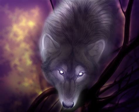 Rukis895×720 Mystical Wolf Wolf Spirit Animals