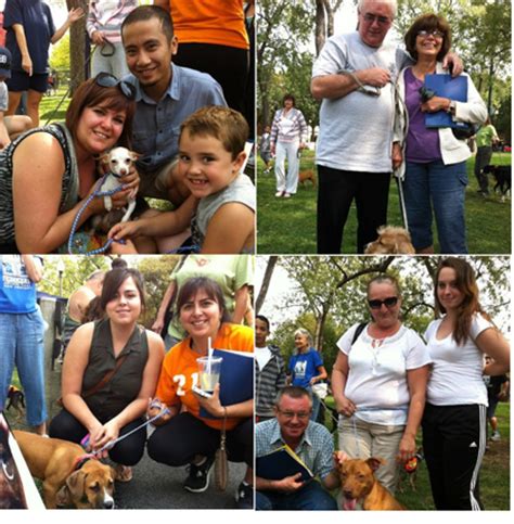 View our featured pets and all our animals ready for adoption! City of Chicago :: Pet Adoption